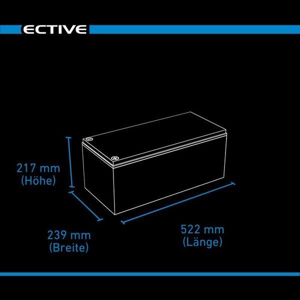 Акумулятор AGM 12 В 230 А&middot;год з екраном ECTIVE DC 230S (Німеччина) DC 230S фото