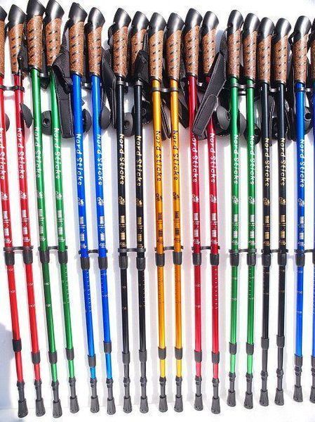 Палки для скандинавской ходьбы Nord Sticks Blue ORIGINAL ПОЛЬША mx9003 фото