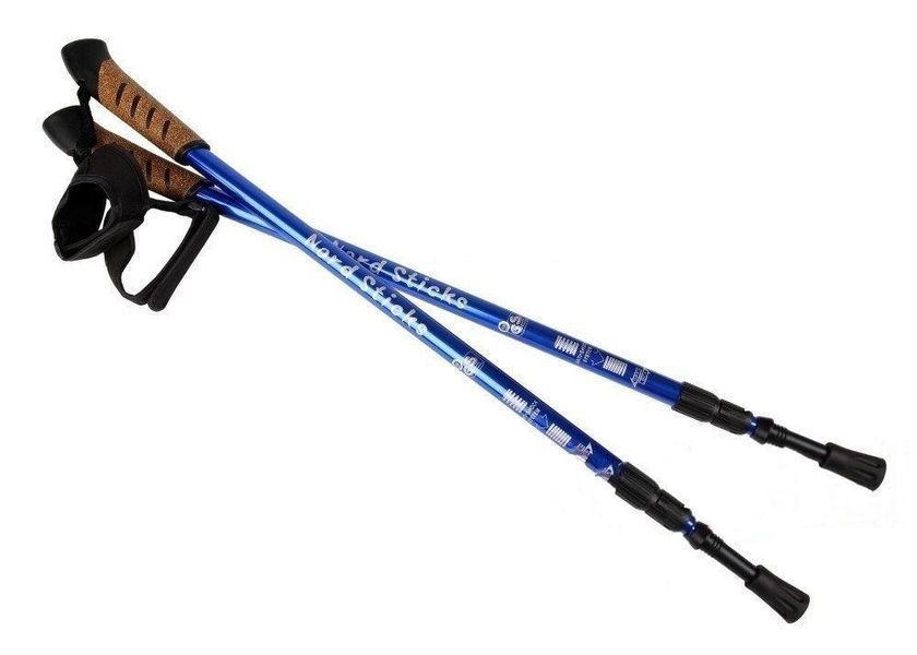 Палки для скандинавской ходьбы Nord Sticks Blue ORIGINAL ПОЛЬША mx9003 фото