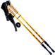 Палки для скандинавской ходьбы Nord Sticks Gold ORIGINAL ПОЛЬША mx9000 фото 1