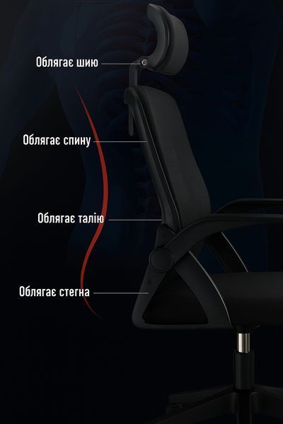 Крісло офісне Diego ErgoFlex сітка чорне ErgoFlex-BB фото